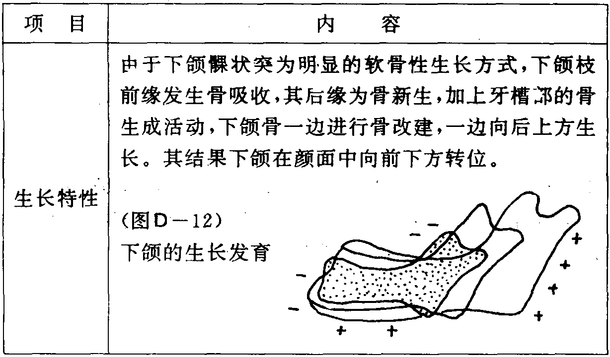 D-11 下頜骨的生長發(fā)育